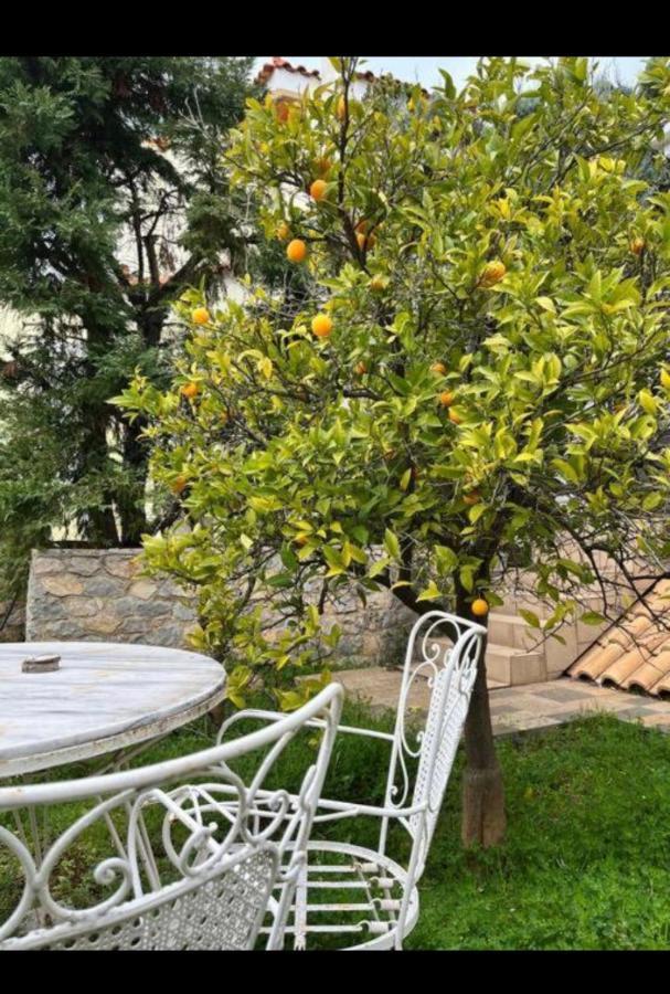 Villa Sul Mare Chalkida Bagian luar foto